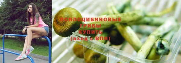 spice Арсеньев