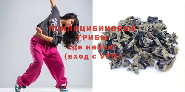 spice Арсеньев