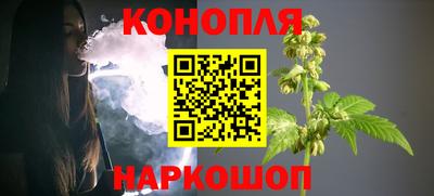 индика Заволжье