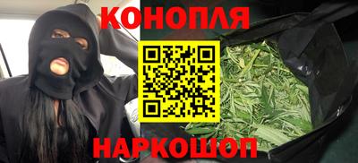 индика Заволжье