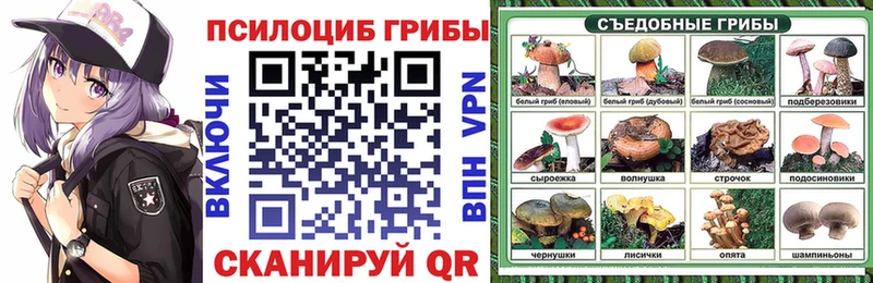блэк спрут онион  Нарткала  Псилоцибиновые грибы GOLDEN TEACHER  наркошоп 