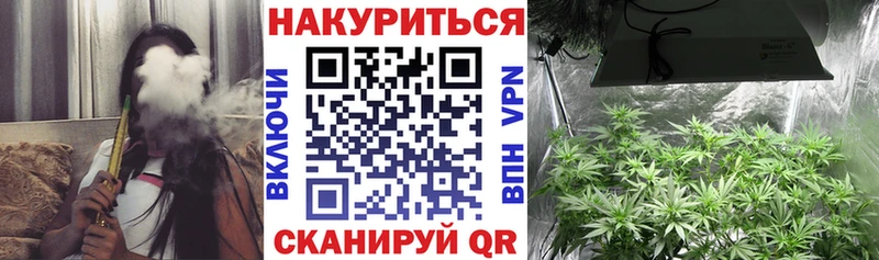 купить   Нарткала  МАРИХУАНА сатива 